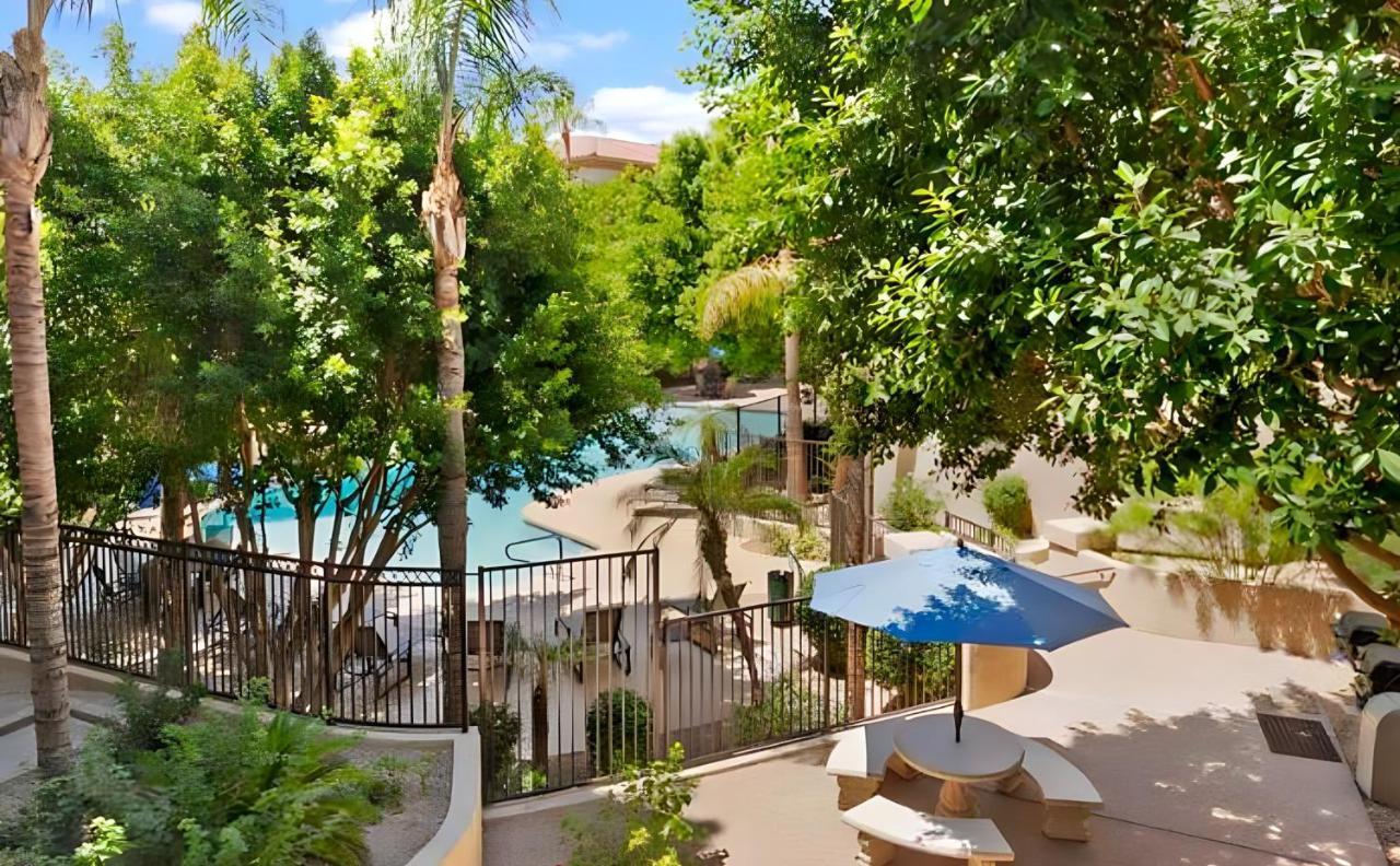 Biltmore Bliss Desert Retreat! Phoenix Extérieur photo