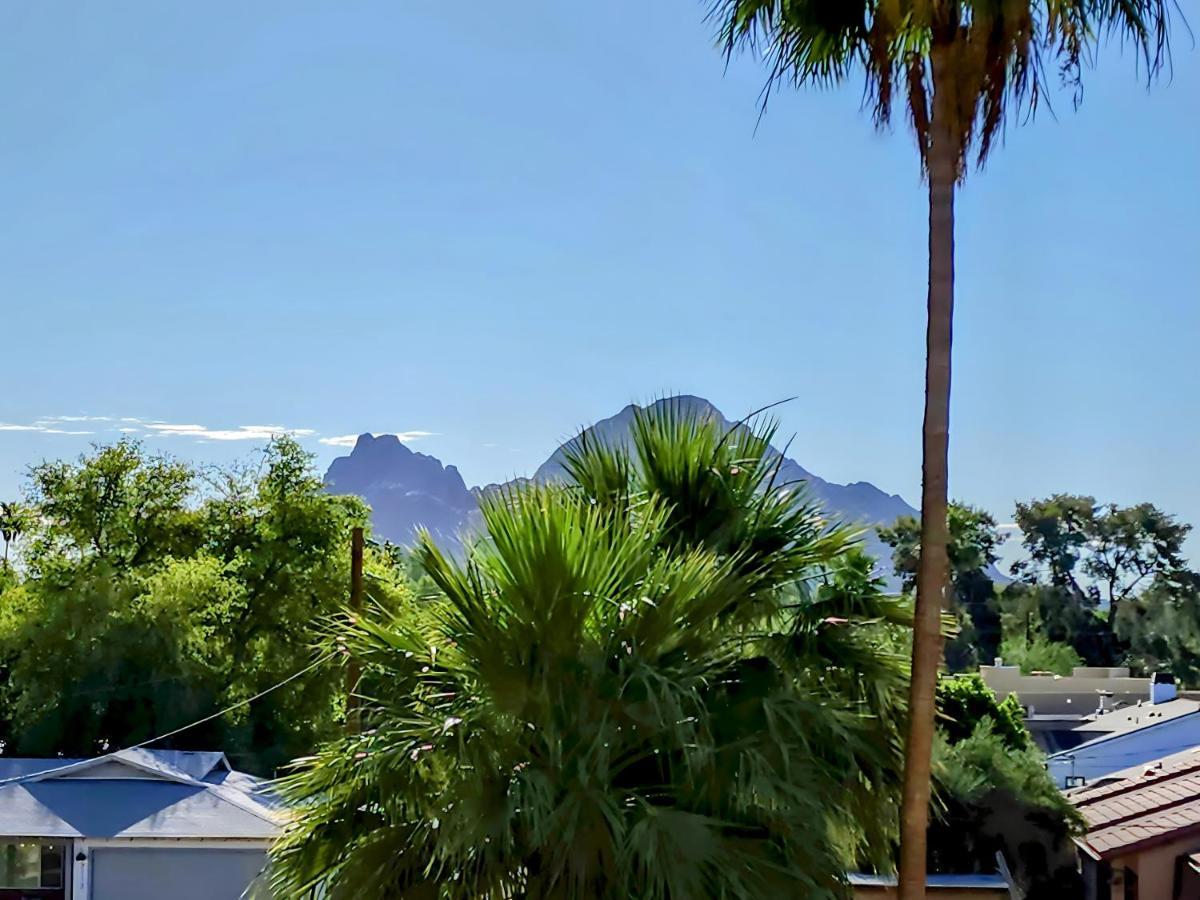 Biltmore Bliss Desert Retreat! Phoenix Extérieur photo